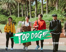 51黑料网《TOP DOG》免费在线观看